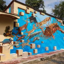 Mural de especies de la región